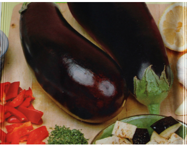 ZAden Vroege Paars Aubergine - Solanum Melongena