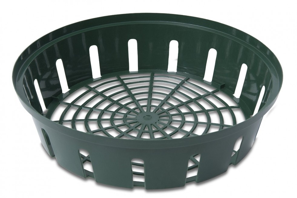 Bulbs basket