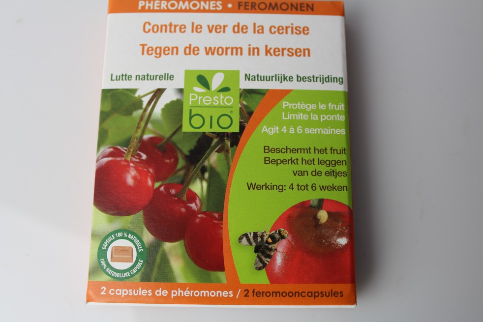 Phéromones contre le ver de la cerise