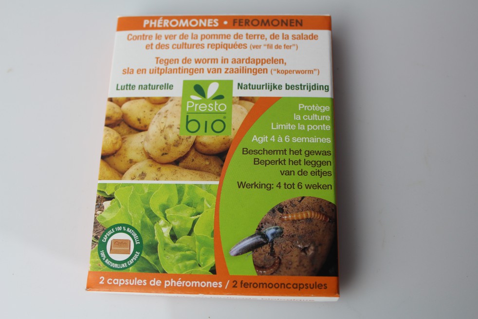 Phéromones contre le ver de la pomme de terre…