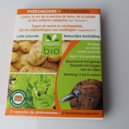 Phéromones contre le ver de la pomme de terre…