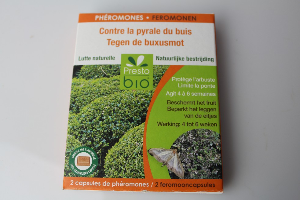 Phéromones contre la Pyrale du buis