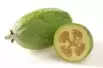 Pineapple Guava
