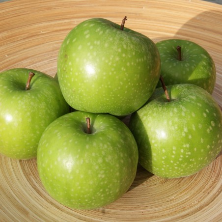 Granny Smith apple tree