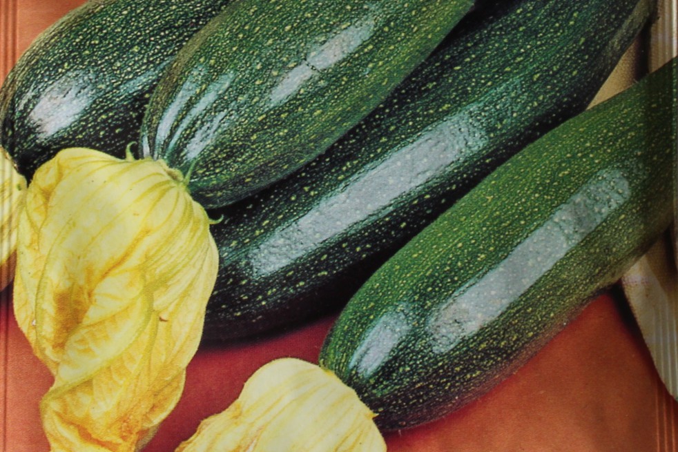 Black Beauty biological zucchini