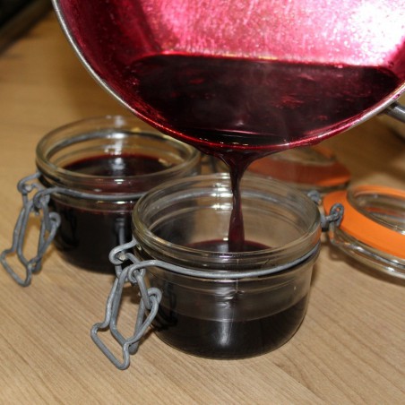 Aronie noire - Aronia Melanocarpa