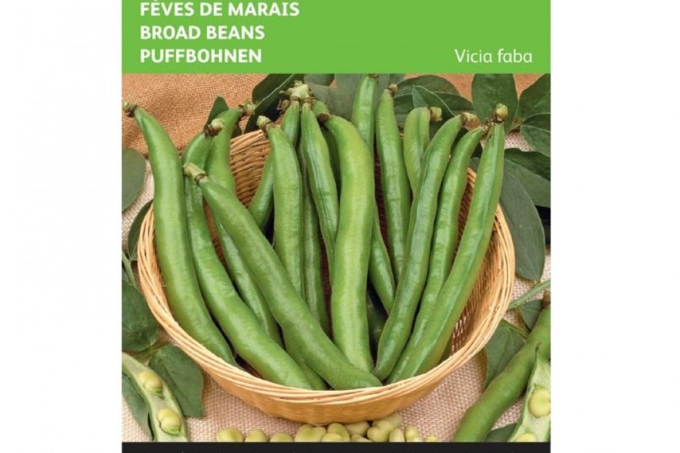 Tuinbonen driemaal wit Tuinbonen driemaal wit