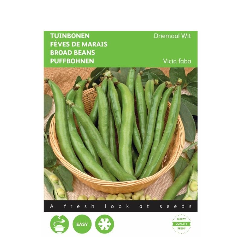 Broad Beans threefold white