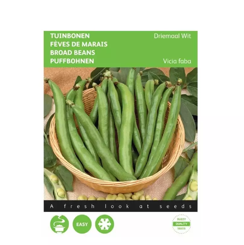 Broad Beans threefold white