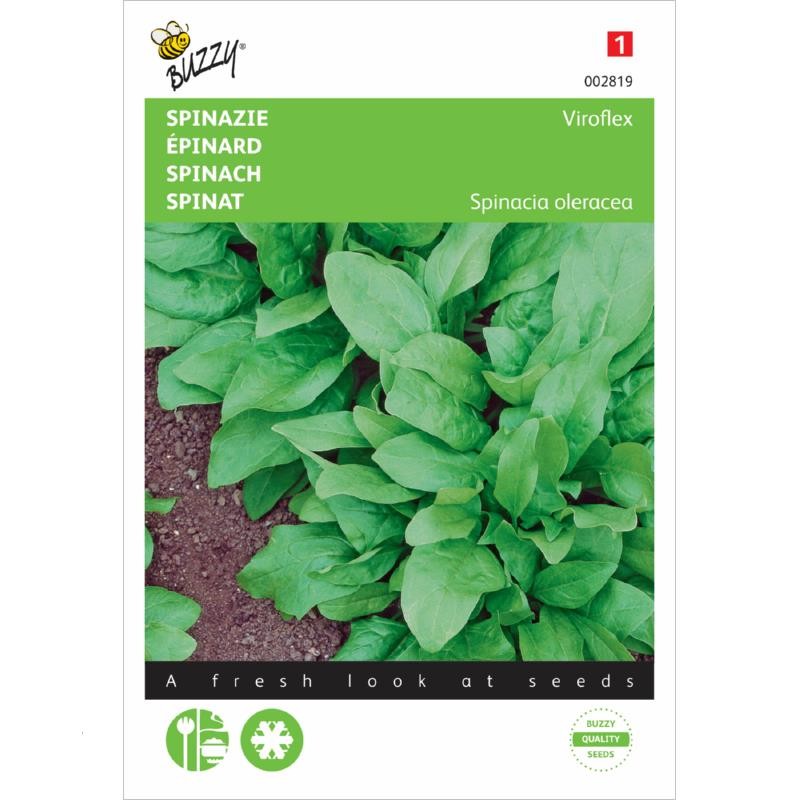 Spinach Giant winter, viroflex