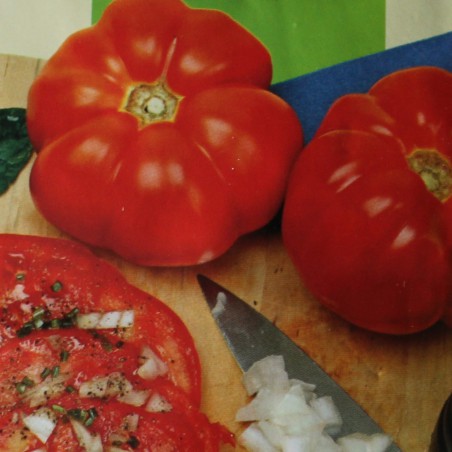 Zaden Vleestomaat Marmande - Lycopersicon esculentum
