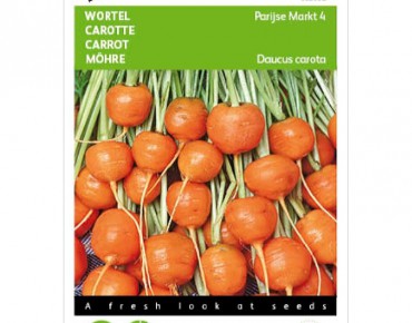 Carotte ronde de Paris