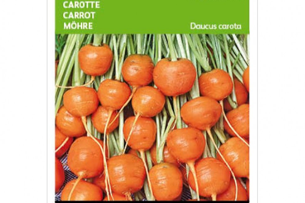 Carotte ronde de Paris Carotte ronde de Paris