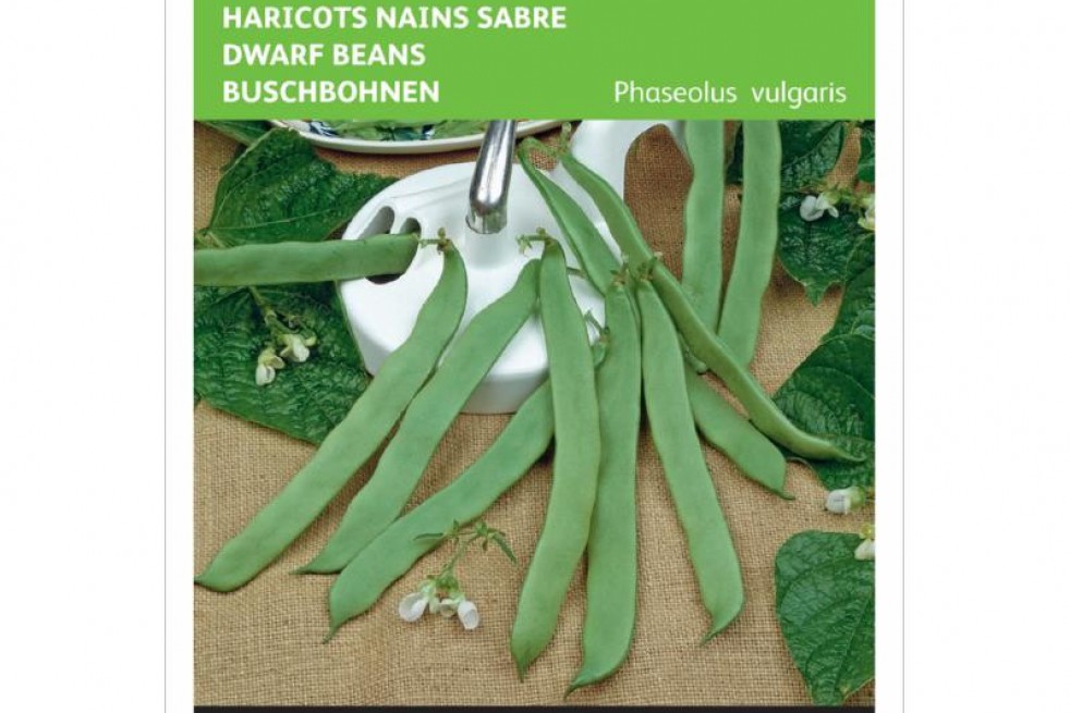 haricot_nains_sabre_admires