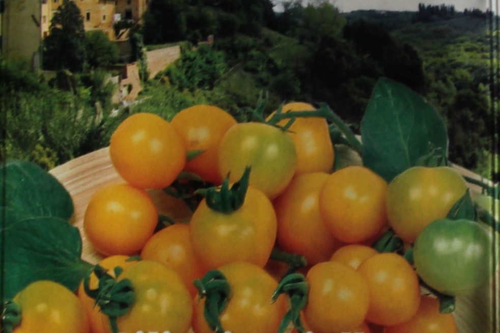 Tomate cerise jaune