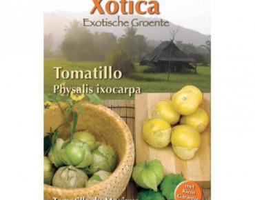 Tomatille du Mexique