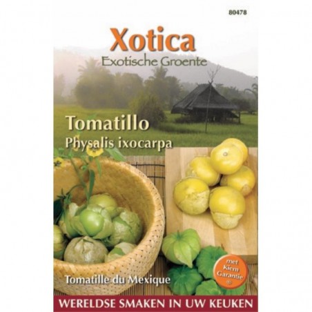 Seeds Tomatillo - Mexican Husk Tomato  - Cisneros - Physalis ixocarpa