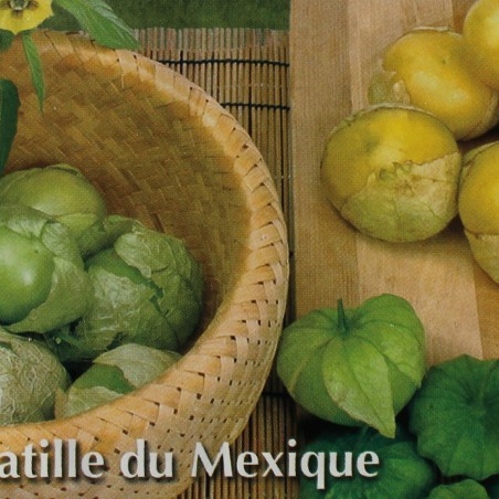 Zaden Tomatillo - Mexicaanse Aardkers  - Cisneros - Physalis ixocarpa