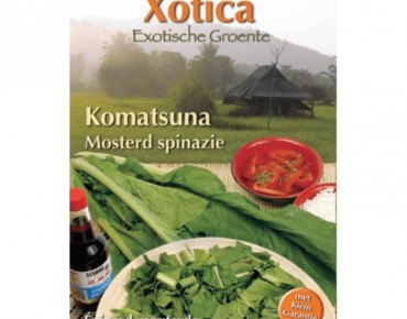 Épinard Moutarde, Komatsuna