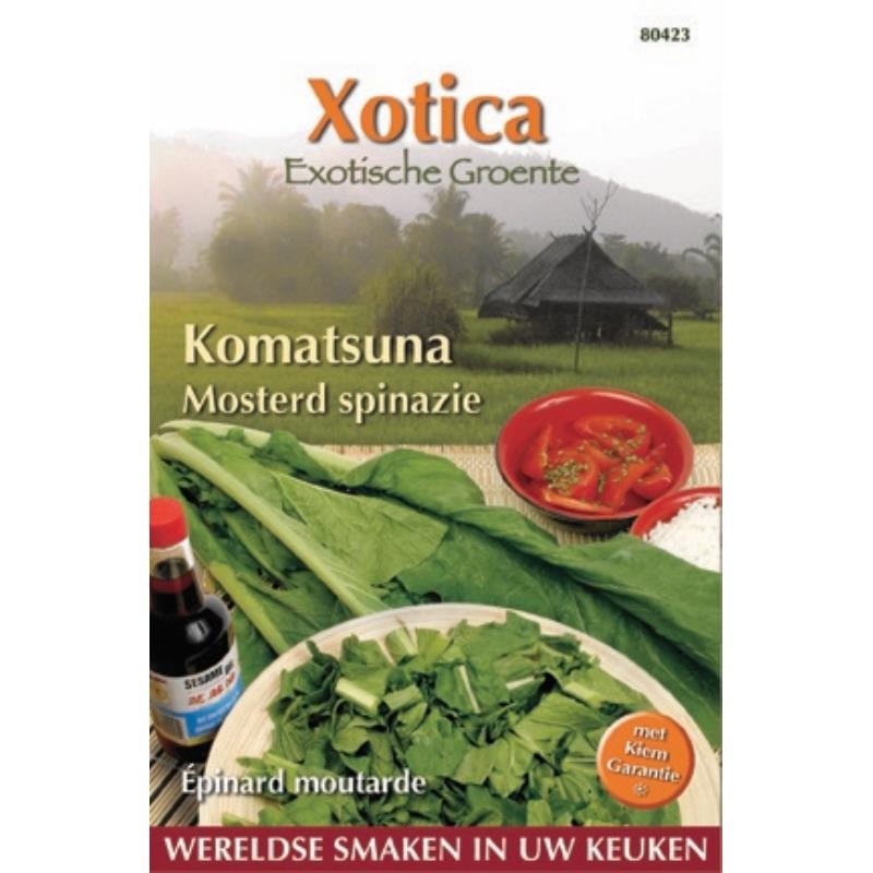 Mosterdspinazie, Komatsuna