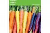 Carrot mix of three colors