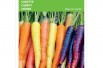 Carrot mix of three colors Carrot mix of three colors