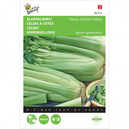 Céléri à côtes plein vert Pascal