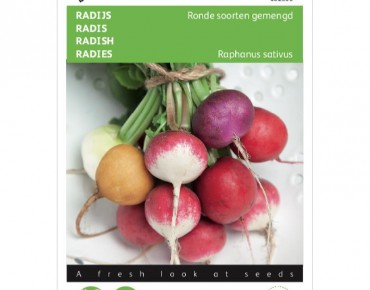 Radis variété ronde en mélange