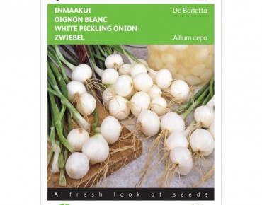 Oignon blanc Barletta à confire