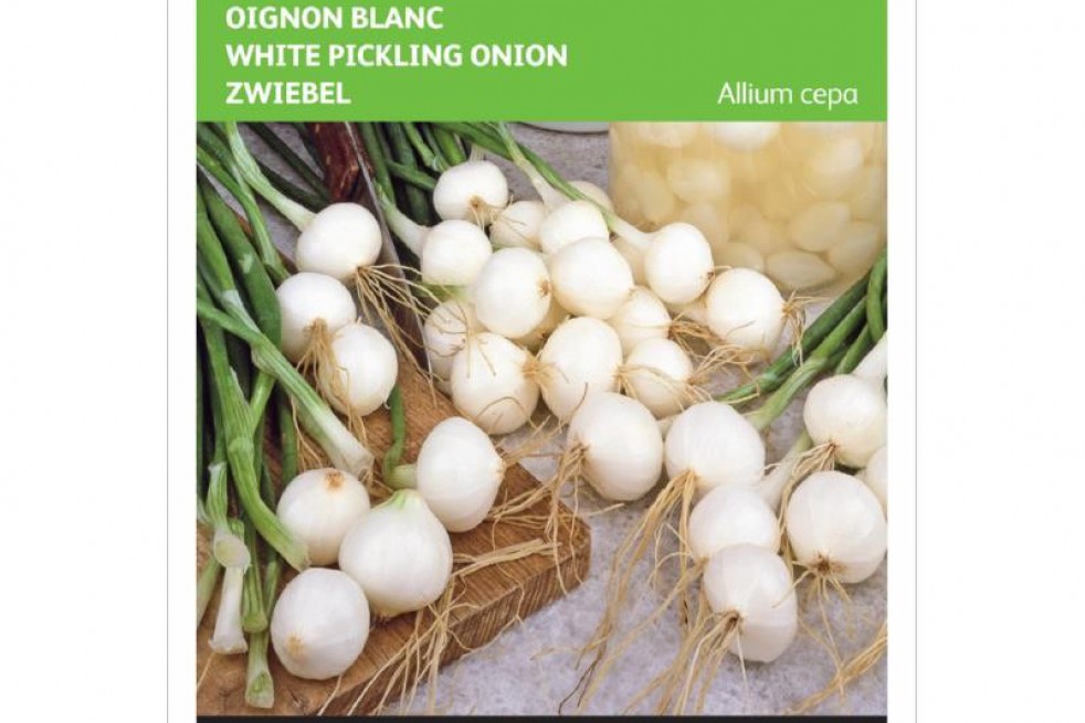 Barletta Pickling onion 