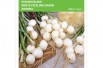 Barletta Pickling onion 