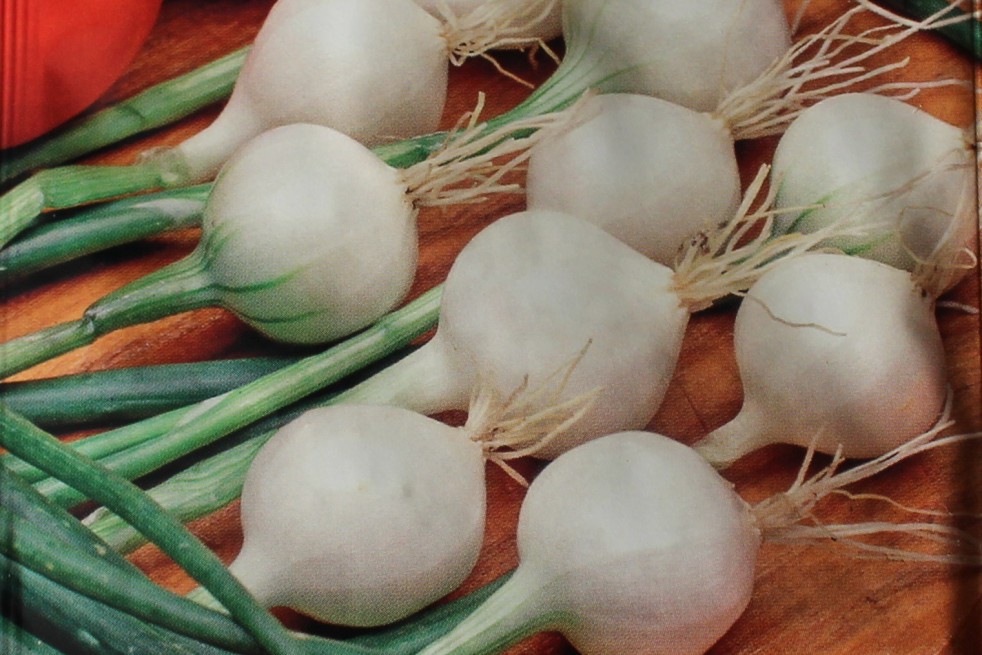 Barletta Pickling onion 