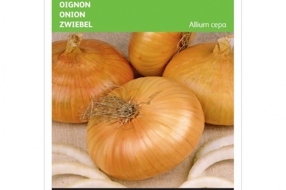 Oignon jaune paille des vertus 