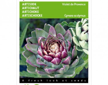 Purple artichoke