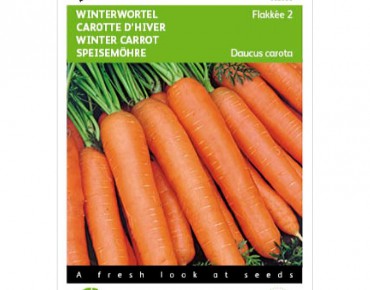 Winter carrot - autumn king...