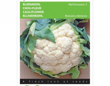 Cauliflower autumn giant