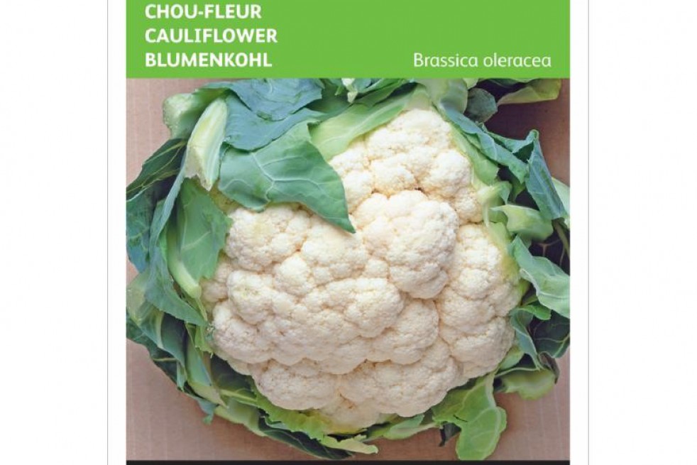 Cauliflower autumn giant