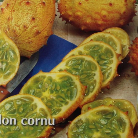 Seeds Kiwano - Horned Melon - Cucumis metuliferus