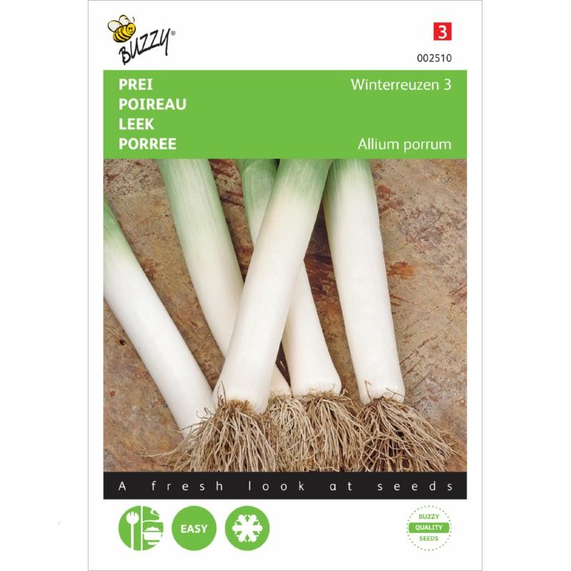 Leek Winter Giant