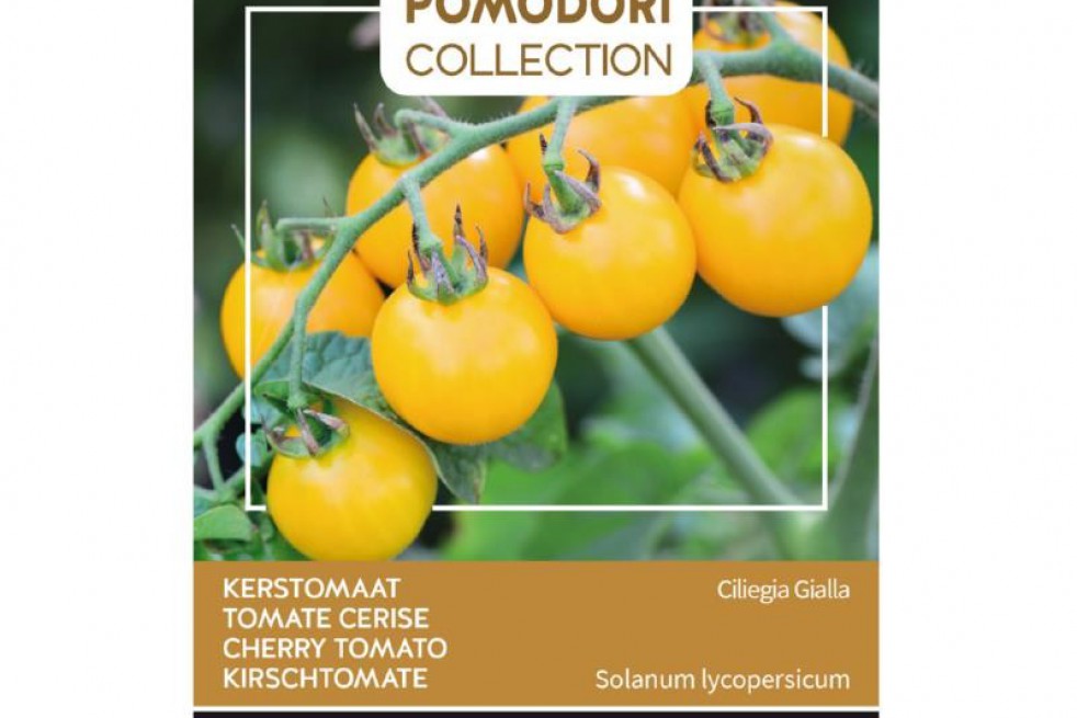 Tomate cerise jaune