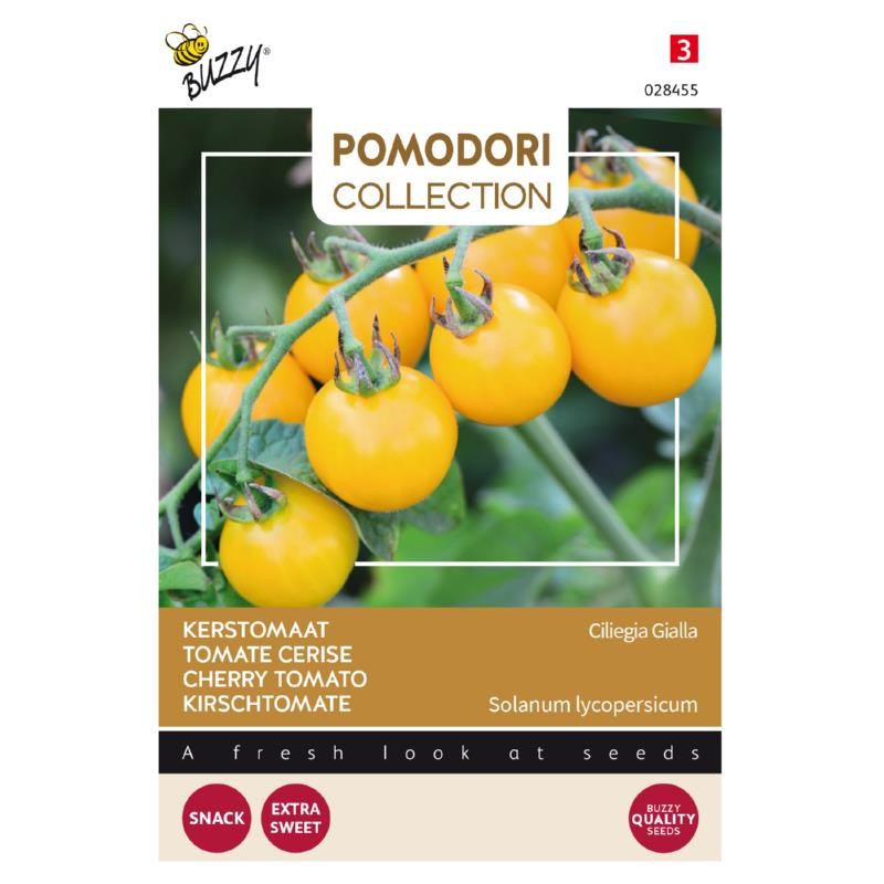 Yellow cherry tomato Cereza Amarilla