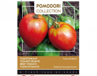 Tomate géante coeur de boeuf