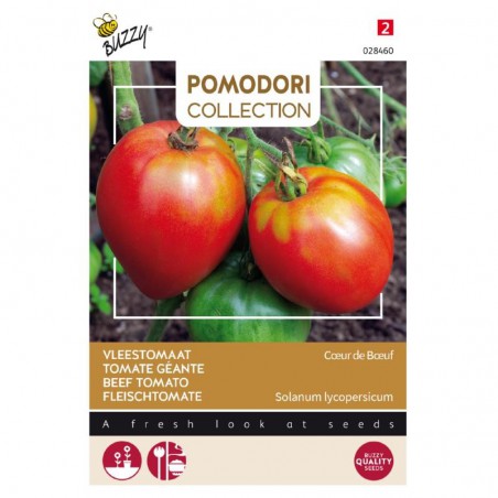 Seeds Beef tomato - Lycopersicum Lycop. - Cuor di bue