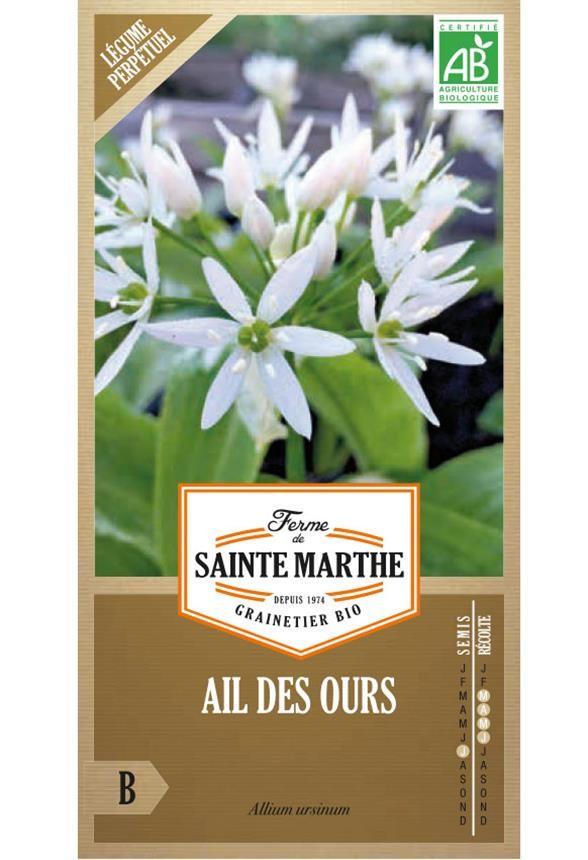 Seeds Bear's garlic BIO