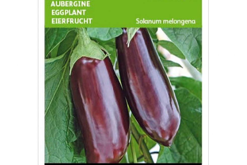 Eggplant early long purple