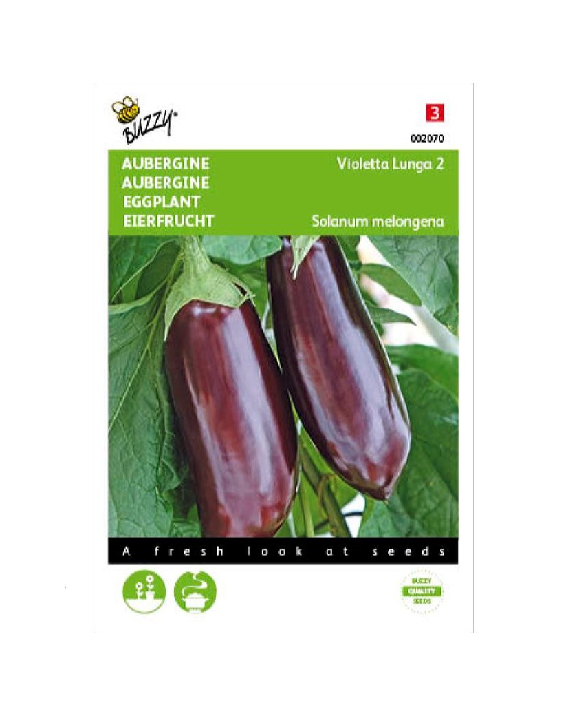 water eggplant Eggplant-Mizuno Takumi Japanese – Whitwam Organics