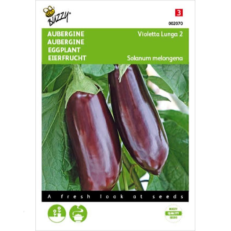 Vroege Paars Aubergine