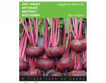 Egyptian Turnip Rooted Beetroot