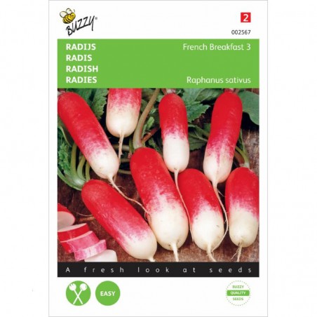 Seeds Radish French Breakfast - Raphanus sativus