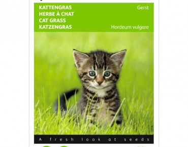 Cat Grass